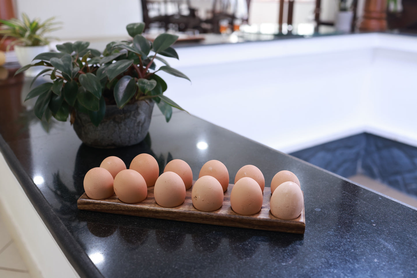 Egg Tray