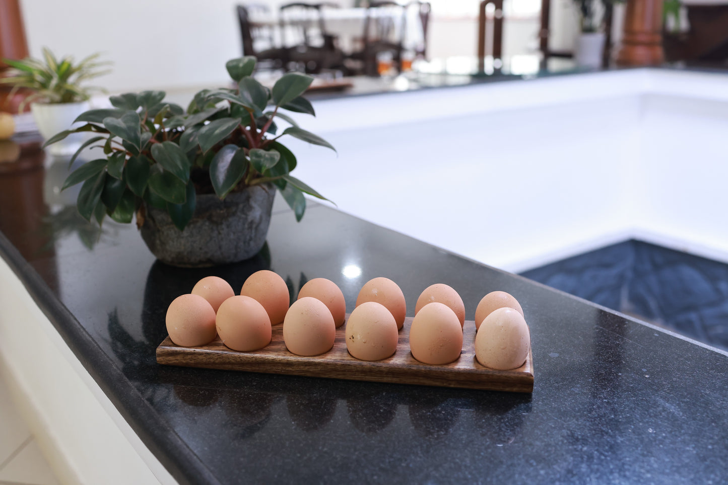 Egg Tray